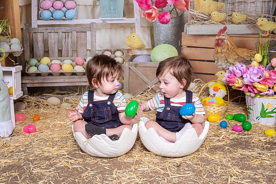 Easter Chick Mini Sessions