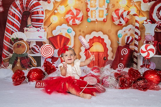 Gingerbread House Mini Session