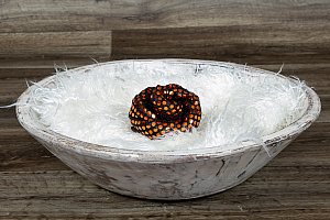 SAP_1492.jpg