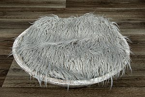 SAP_3190.jpg