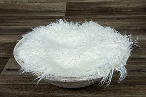 SAP_3171.jpg